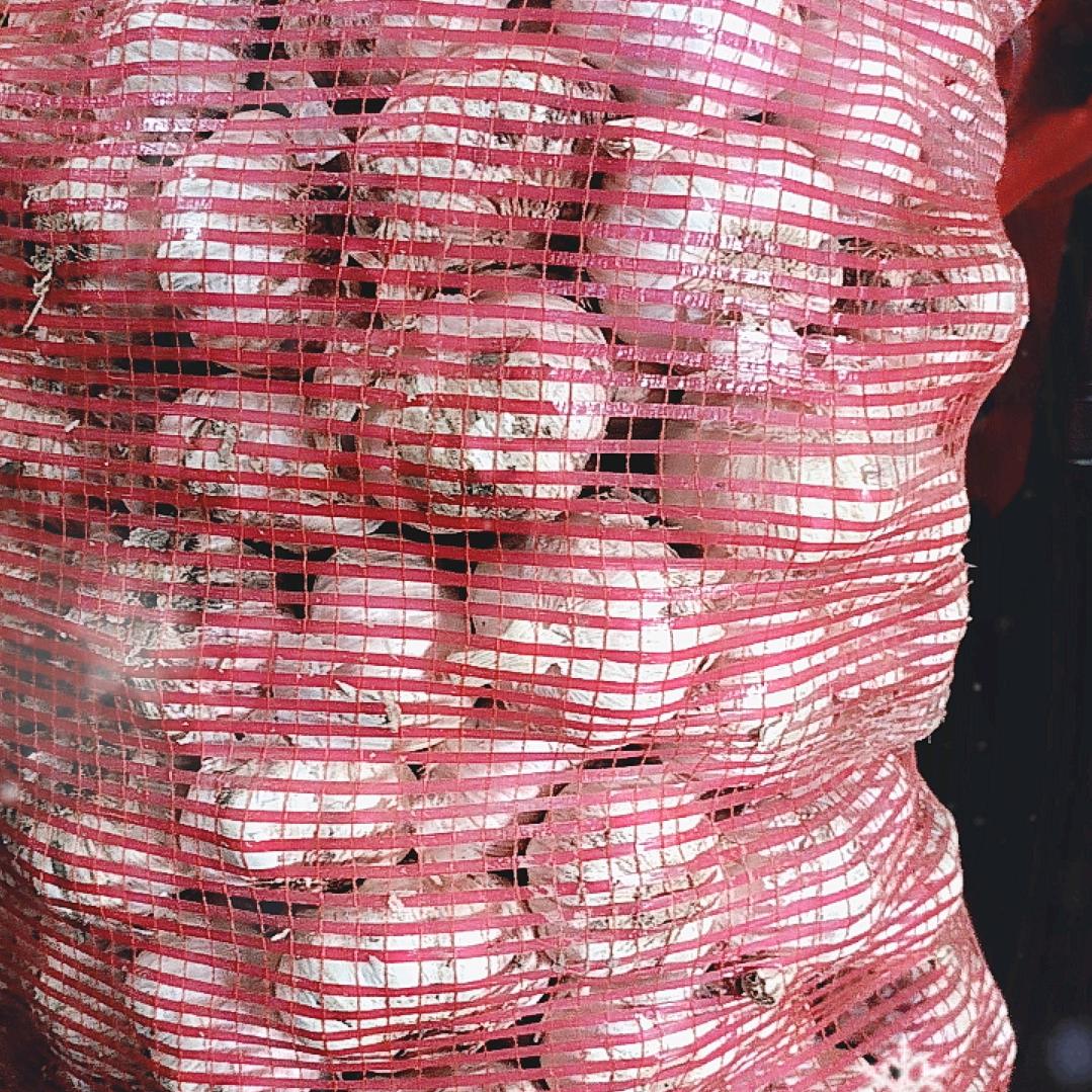 收大蒜，小蒜。蒜苔