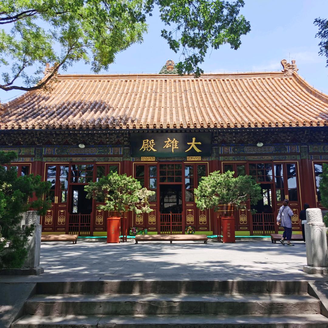 龙珞