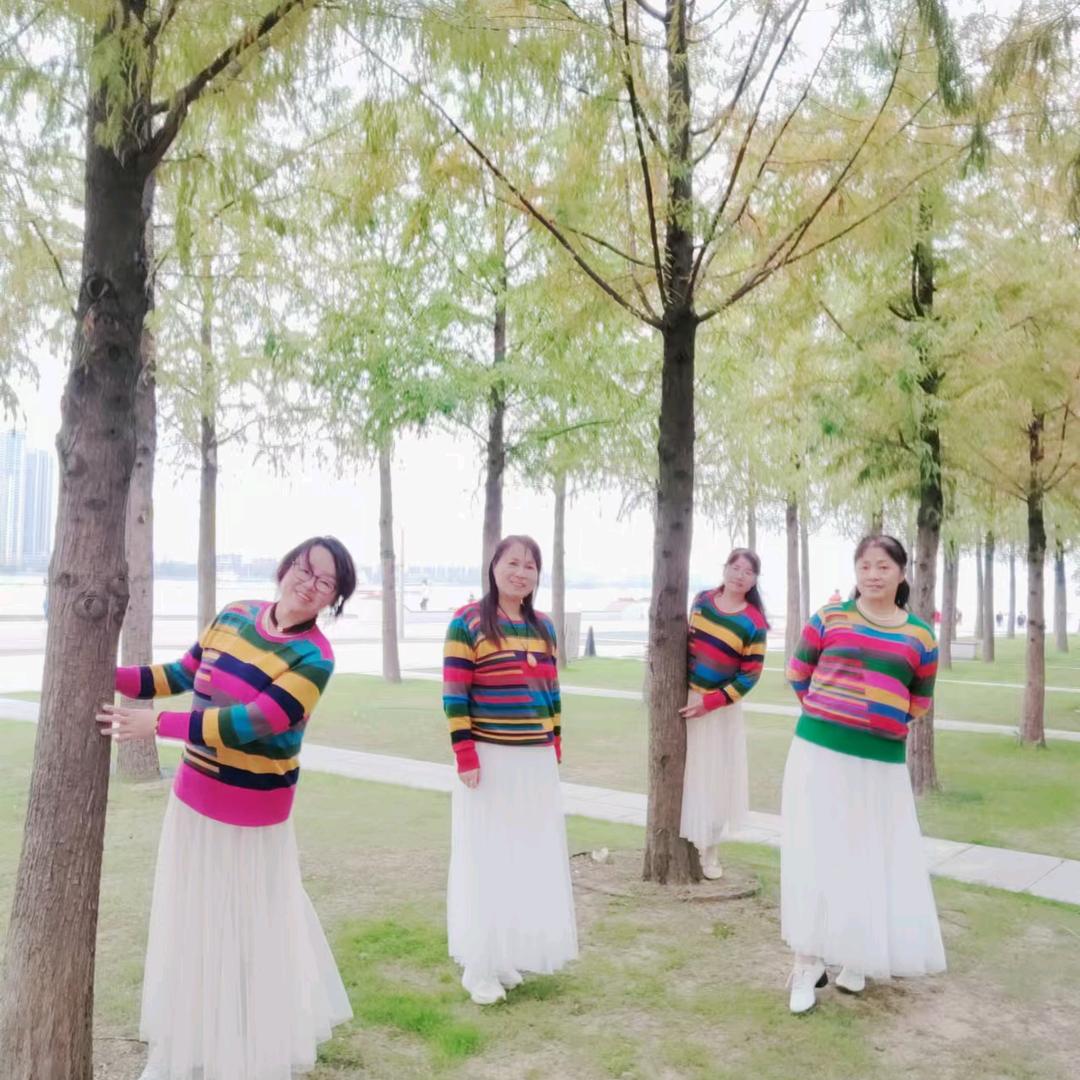 🌸晓梅🌷