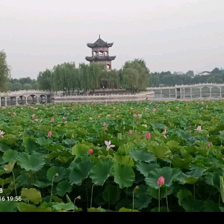 何