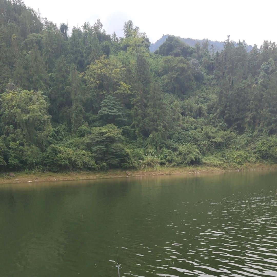 做个钓鱼佬可好