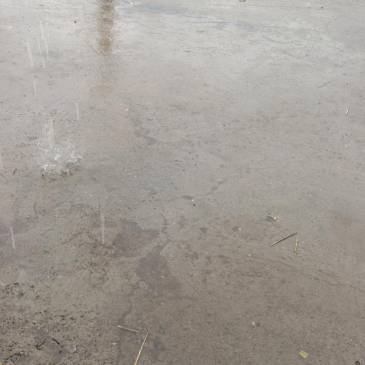 你在哪里