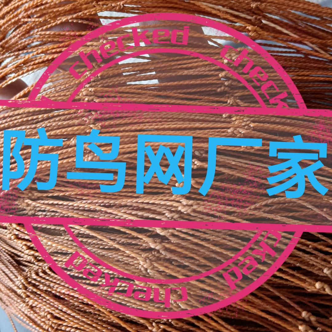 防鸟网（山东网具）