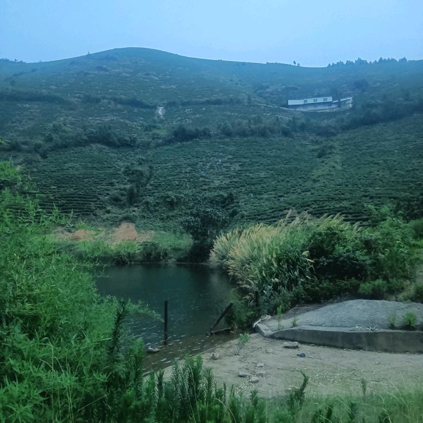 封心锁爱
