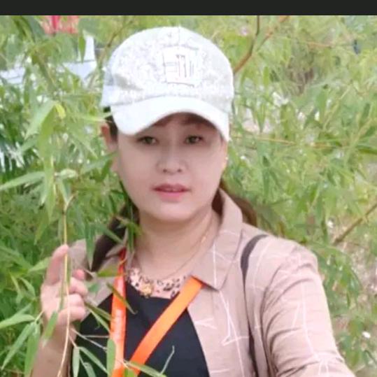 含羞草