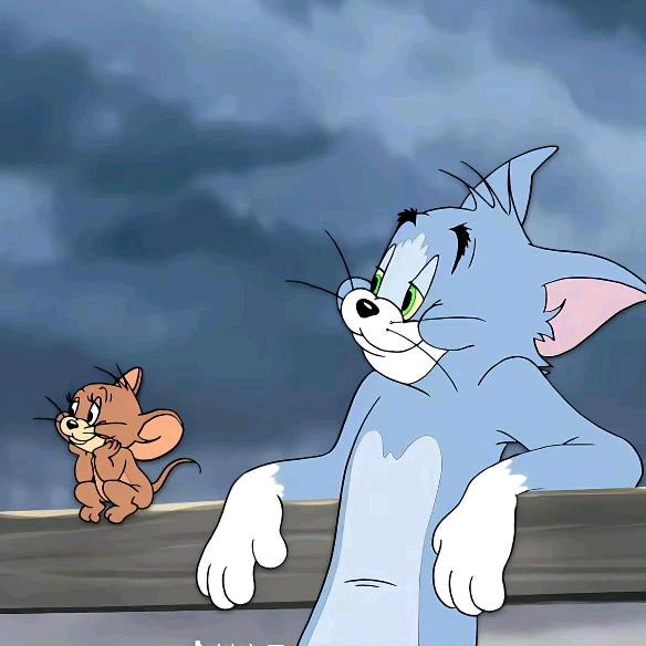 °˚𓆝𓆟𓆜𓆞 ᵕ̈୧⍤⃝🥑