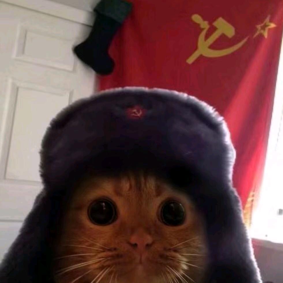 ️