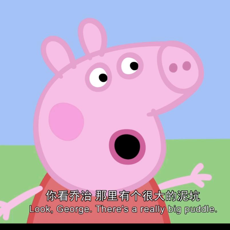 这只猪有点不太聪明