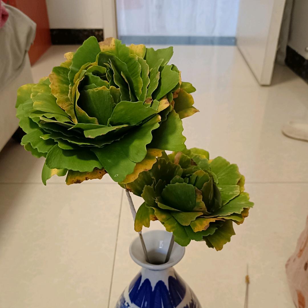 长发飘飘🌺🌺🌺