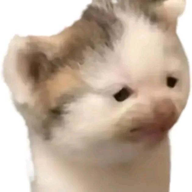 关键词