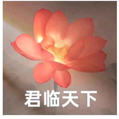 钱一🔮大愿