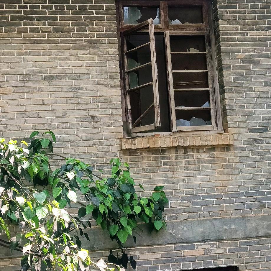 这一世英名我不要