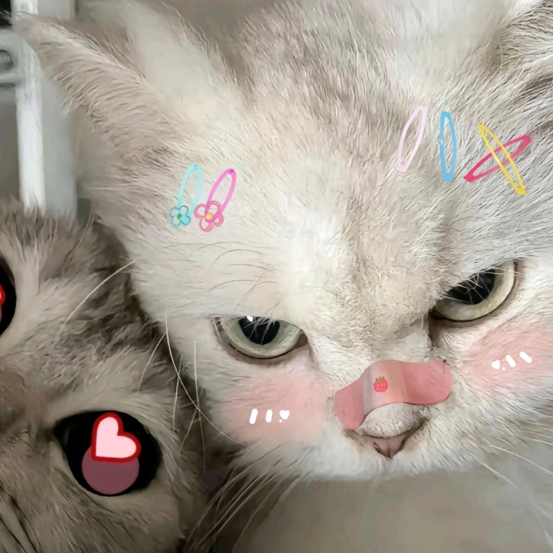 炽夏🌈