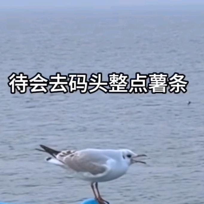 无产阶级万岁(＾－＾)V