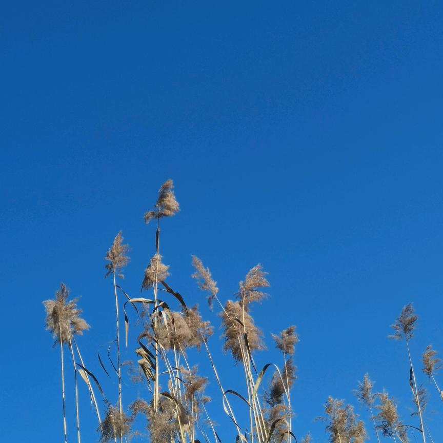 ๐·°(৹˃̵﹏˂̵৹)°·๐