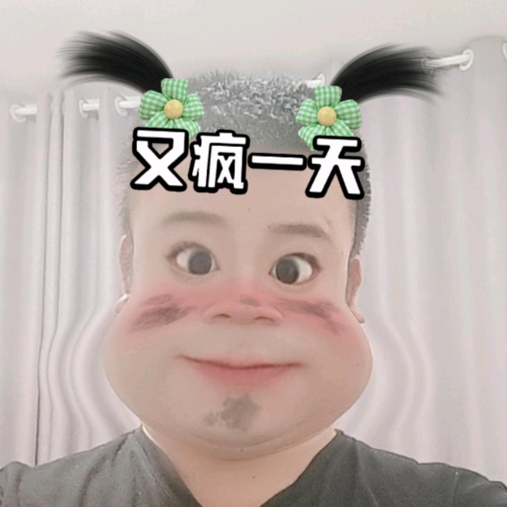 张少《东山再起》