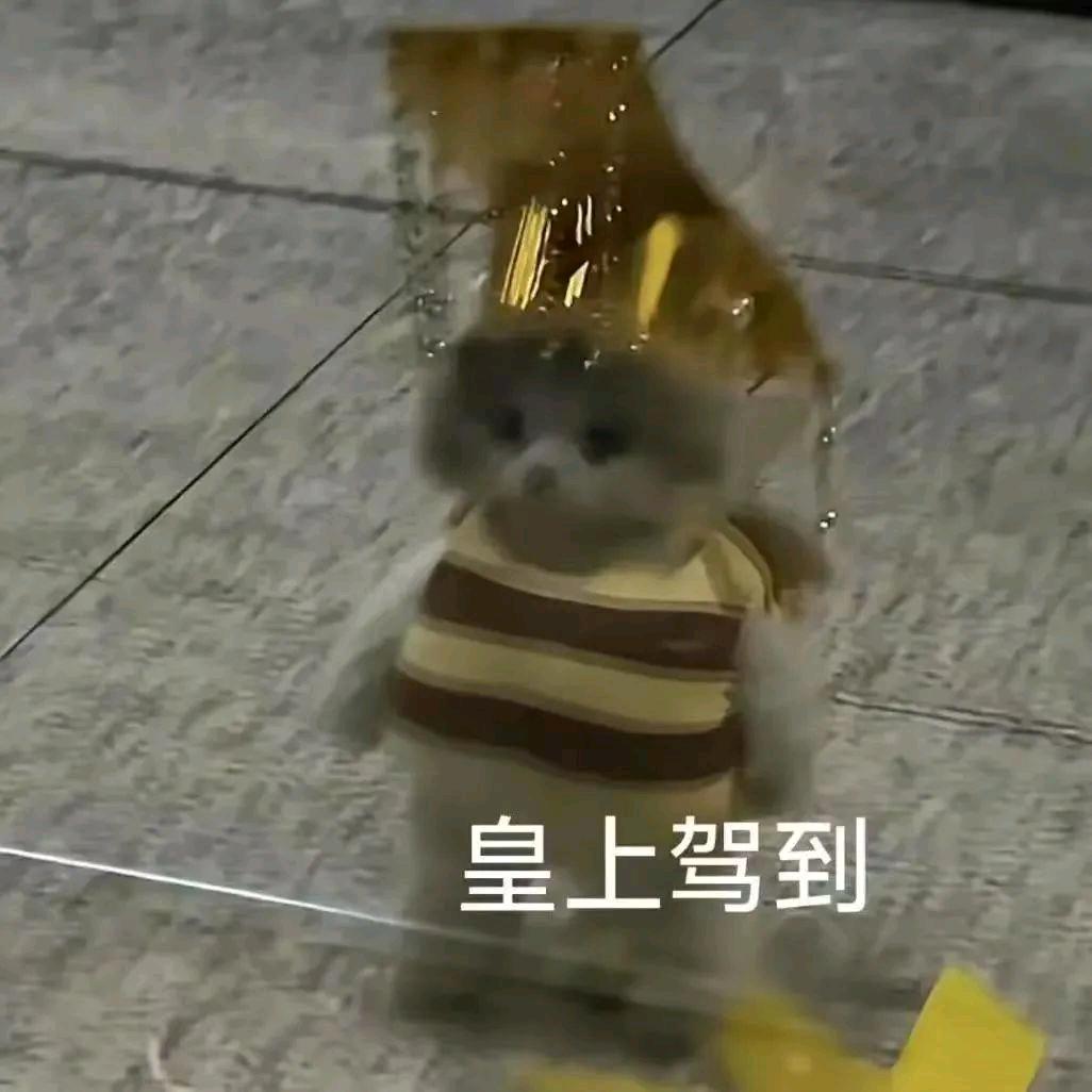 跨屎为爱出逃自愿成0的那个雨夜