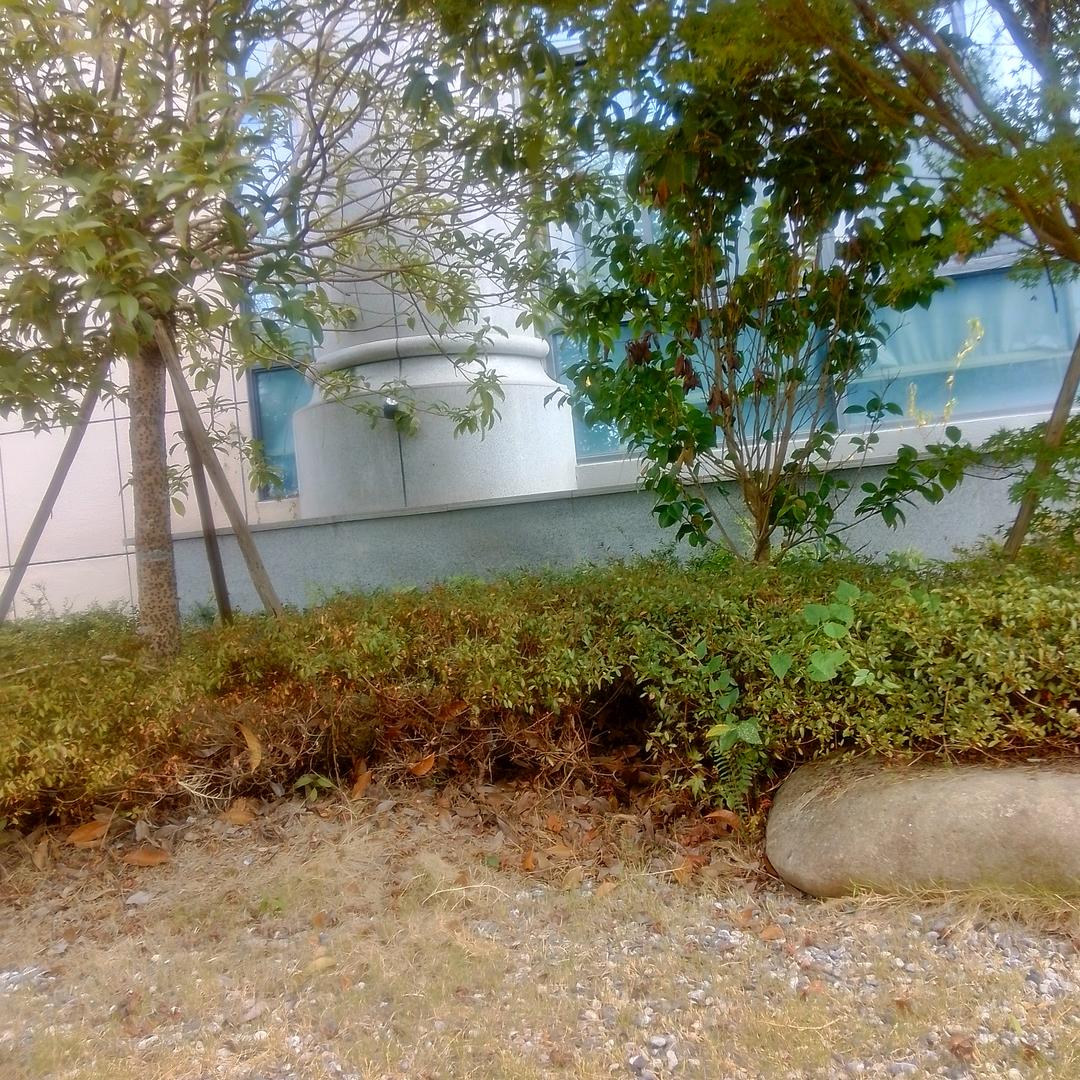 天涯8687