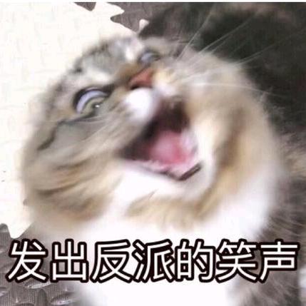 独爱羊崽的邱帅