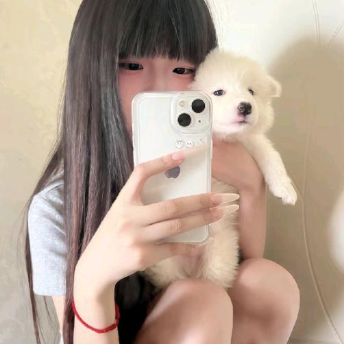易晋