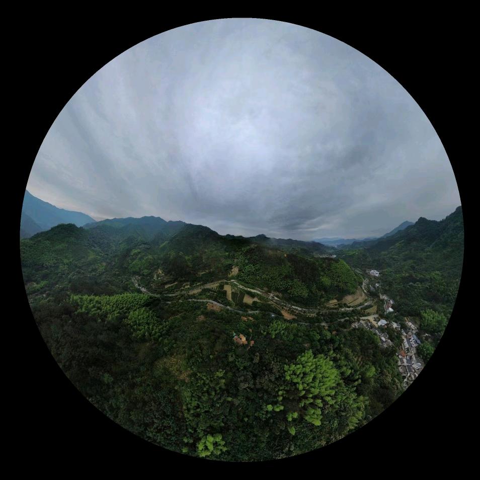 龙山居士