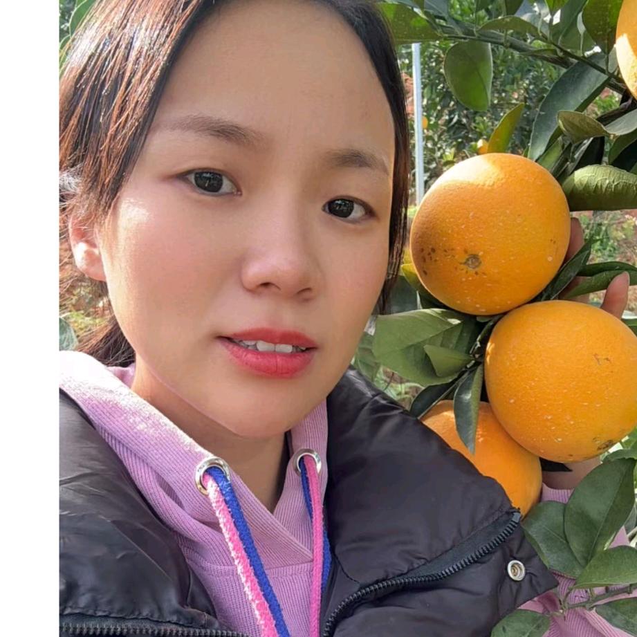 橙美美赣南脐橙