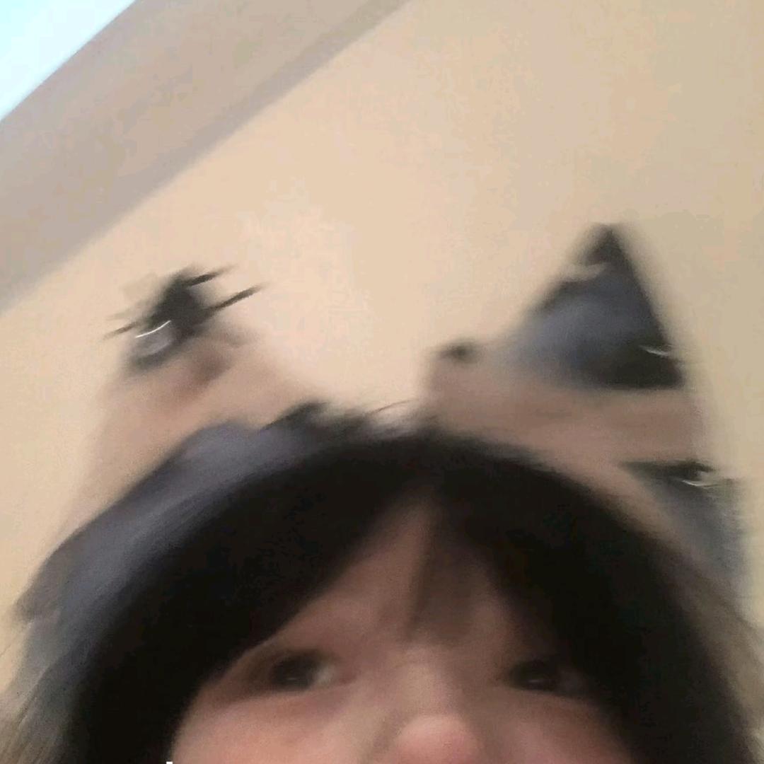 没掉眼泪