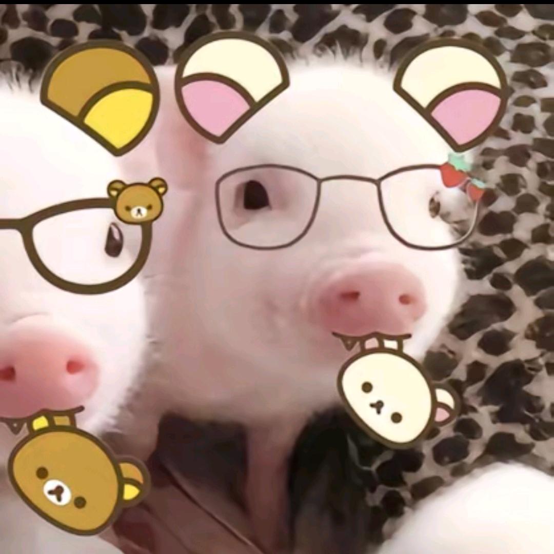 困呆眠