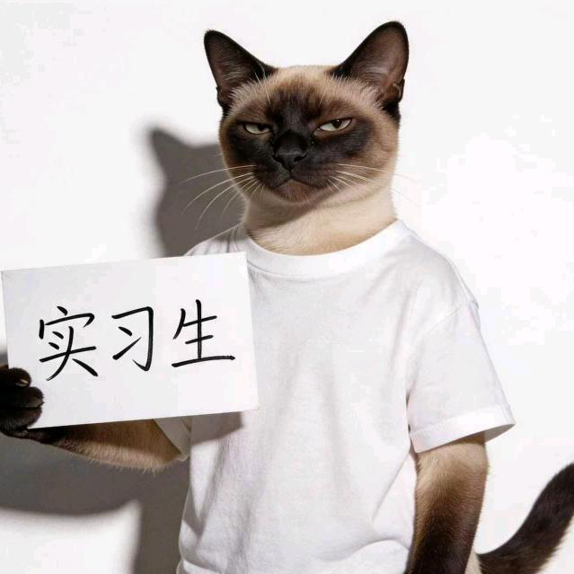 小备（实习生）头像