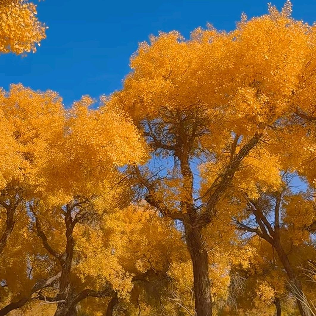 维一❤念❤关山