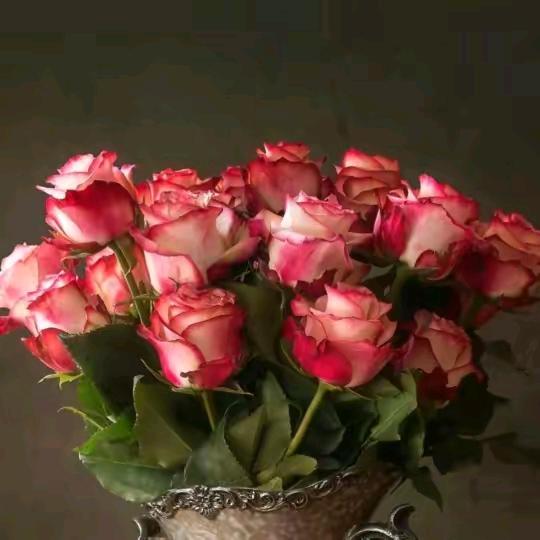 我命由我不由天加油✊️✊️✊️✊️