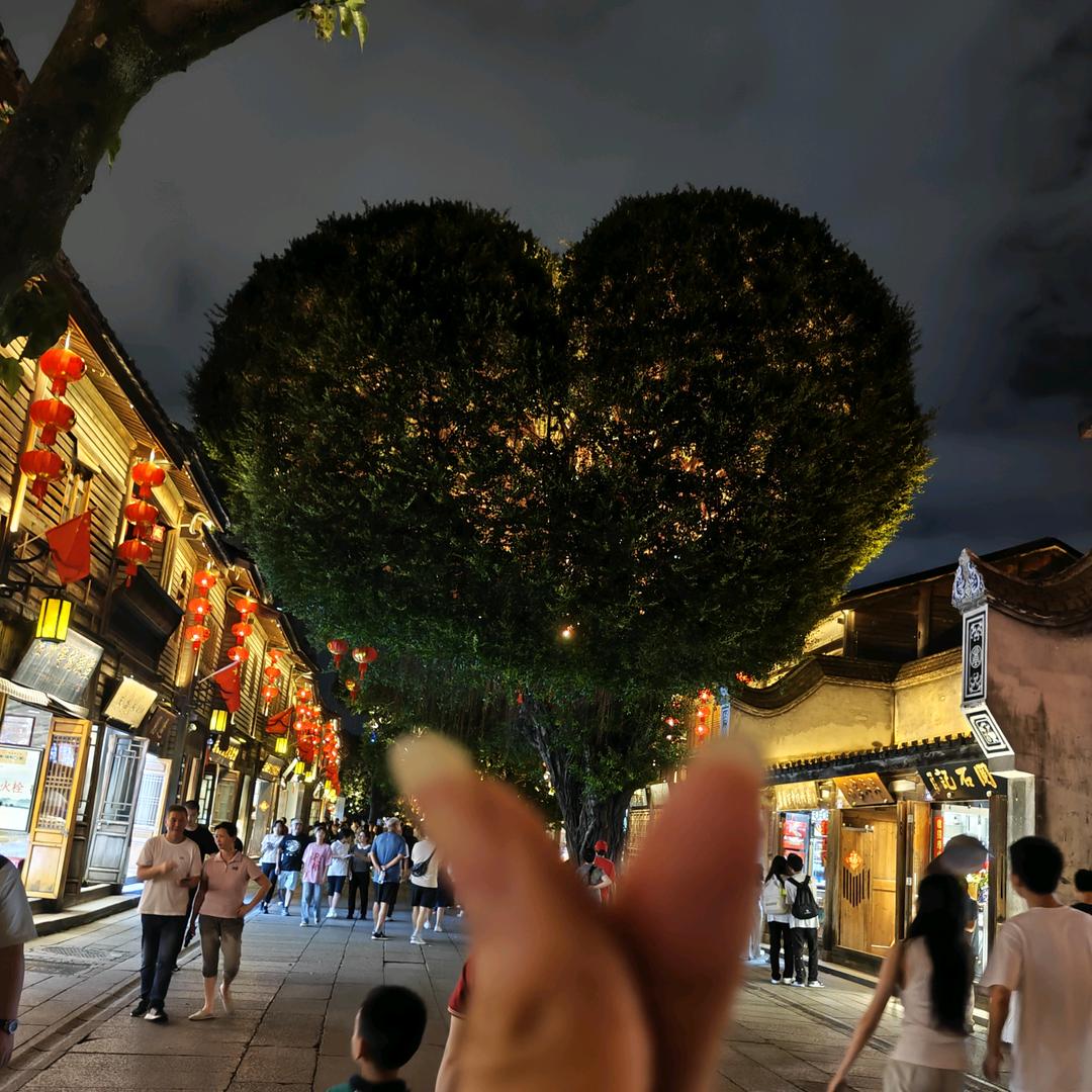 等待🌹正能量