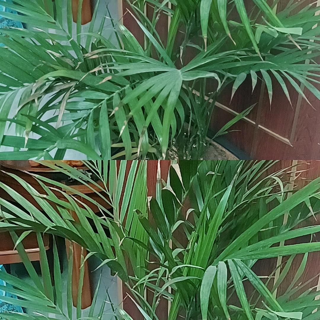 开心快乐每一天