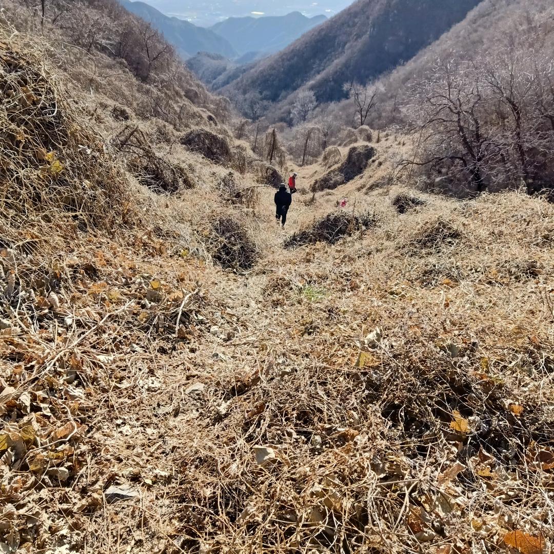北上