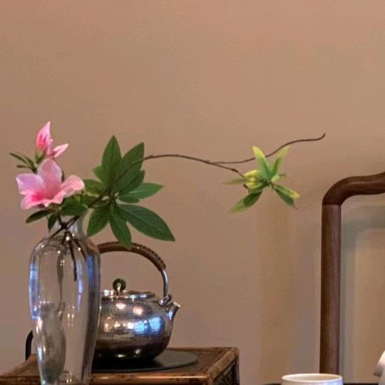 知.韵