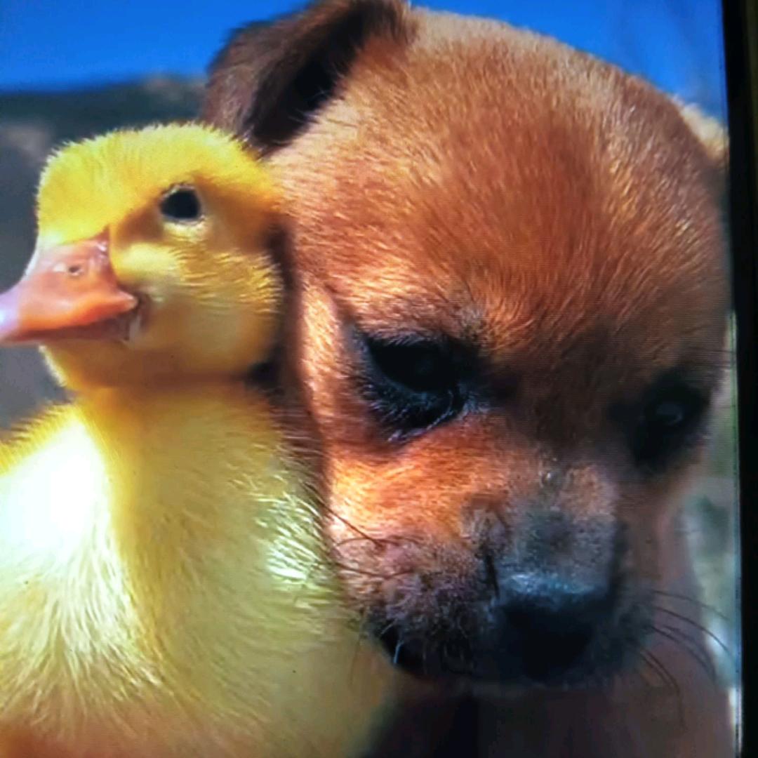 开心❤