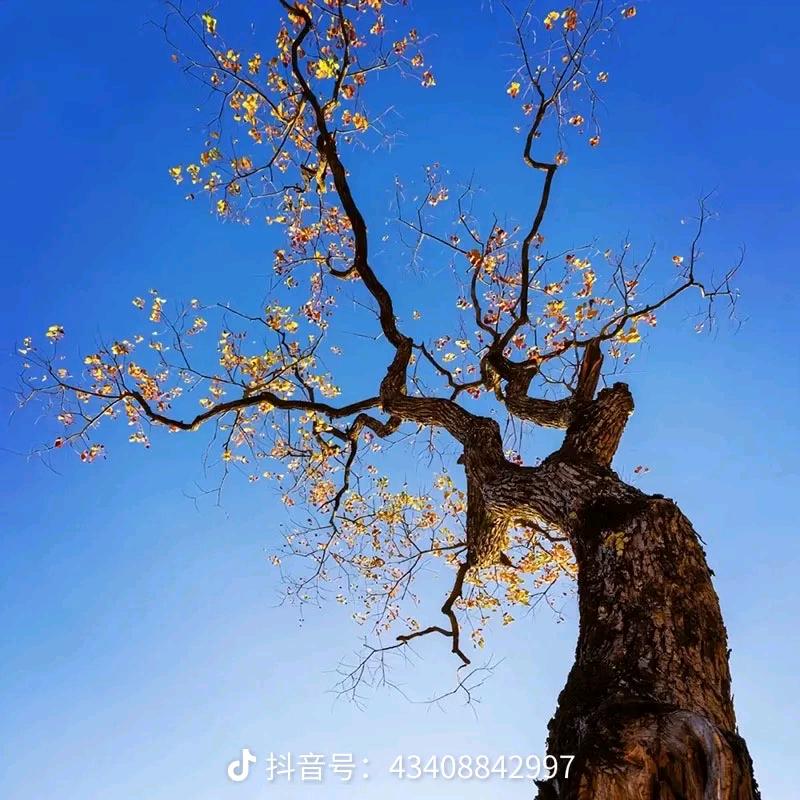 众选优质小卖铺