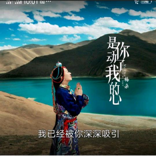习惯了独处