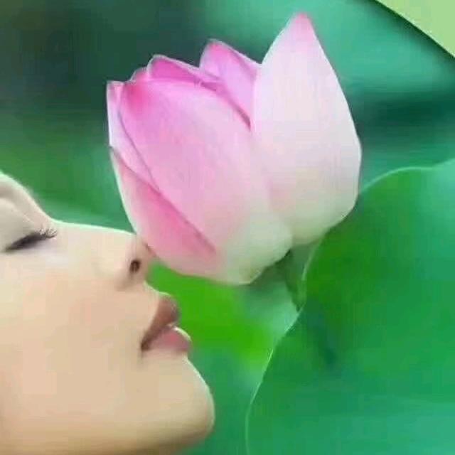 随心❤