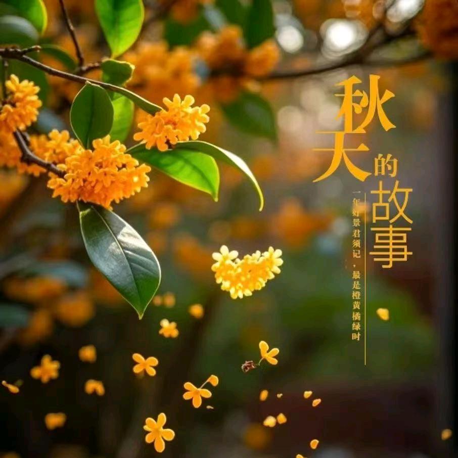 过眼烟云