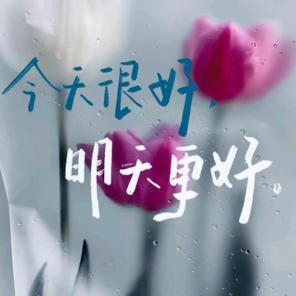 L໊ₒ吖:ᨶ႒ᩚ頭ᵥₑᩚঞ