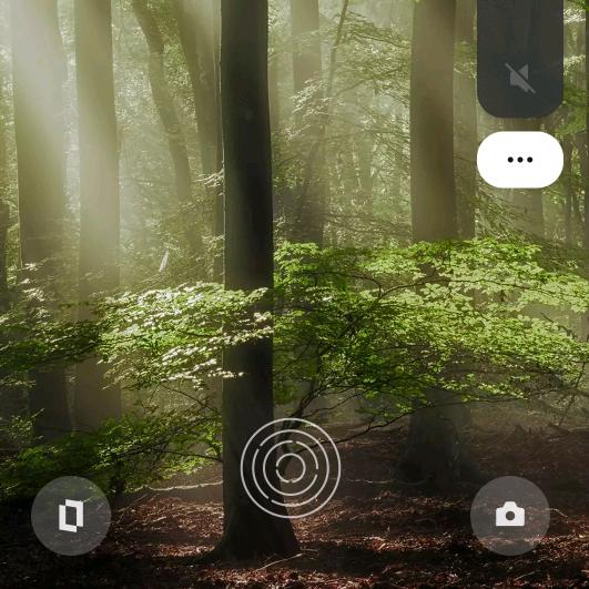 ࿐ཉི༗࿆࿐枫叶🍁🍁ཉི༗ ༗࿆ཉི