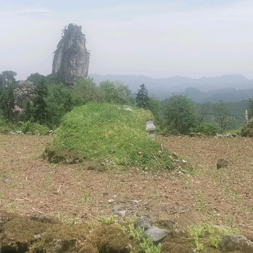 邓力，