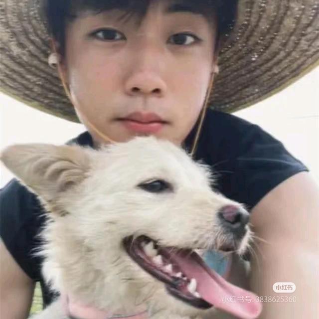 熙熙嘻嘻