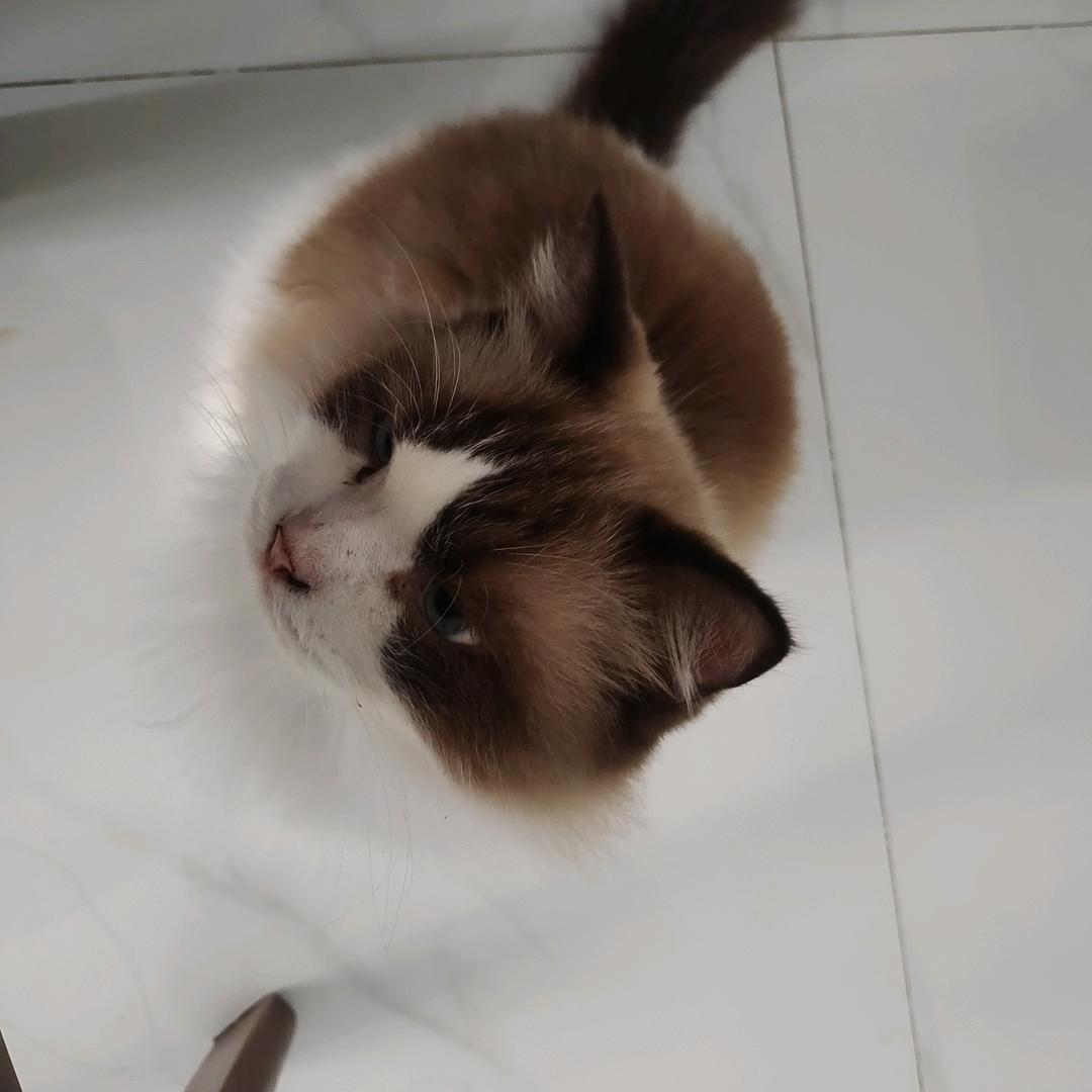 dong  wang（冬姐）