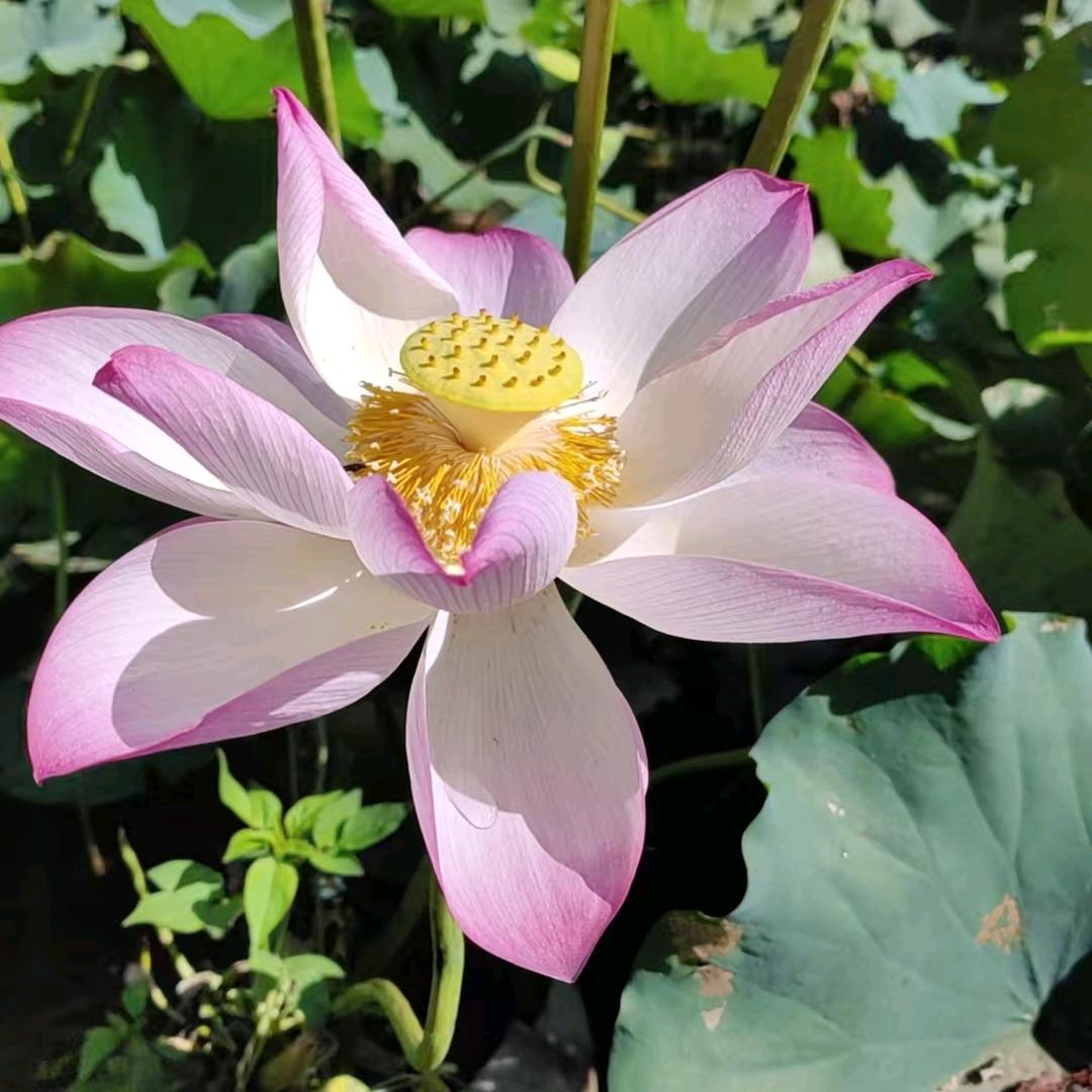 生活如此不易