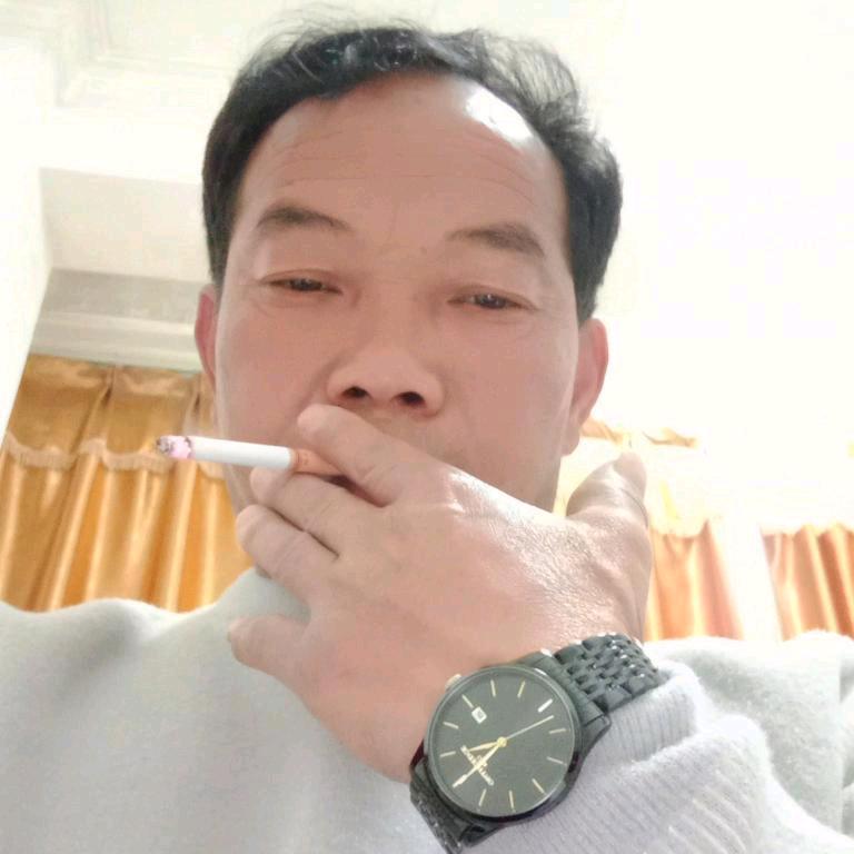 杨断情