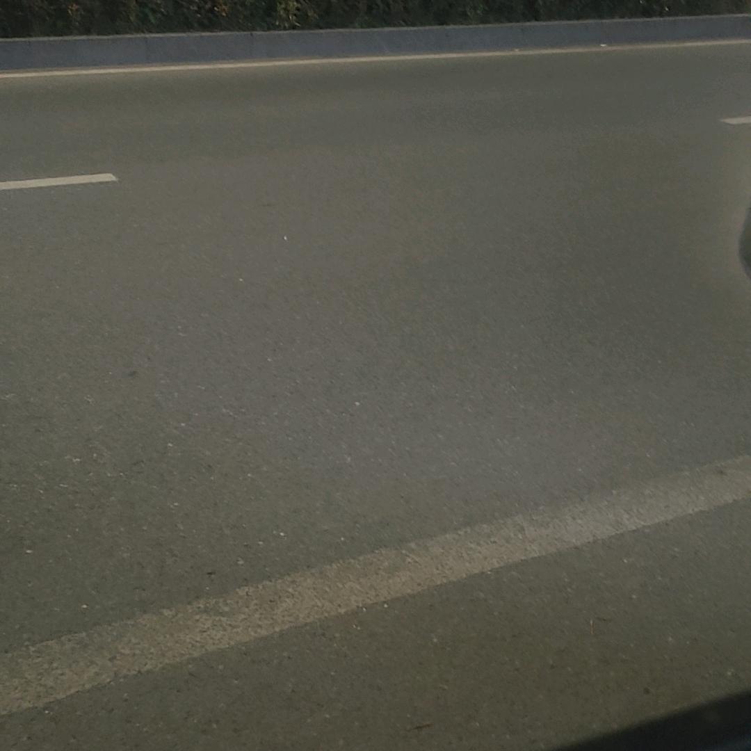 asdfsdgfgggv直播号