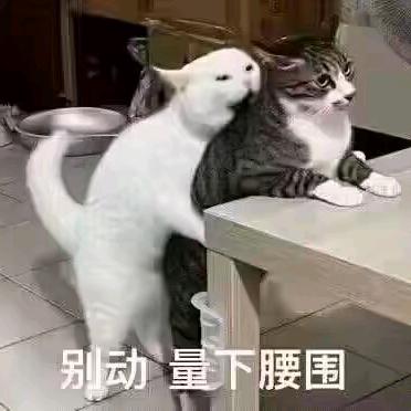 小青龙小青龙          ⭕