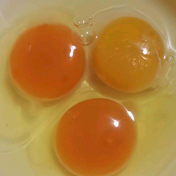 孙大姐的家庭农场